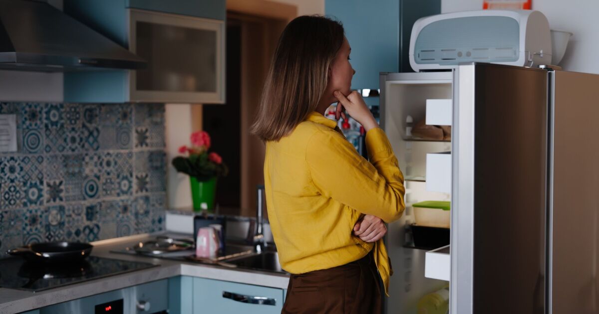 4 changements que vous « devez apporter » aux réfrigérateurs par temps chaud