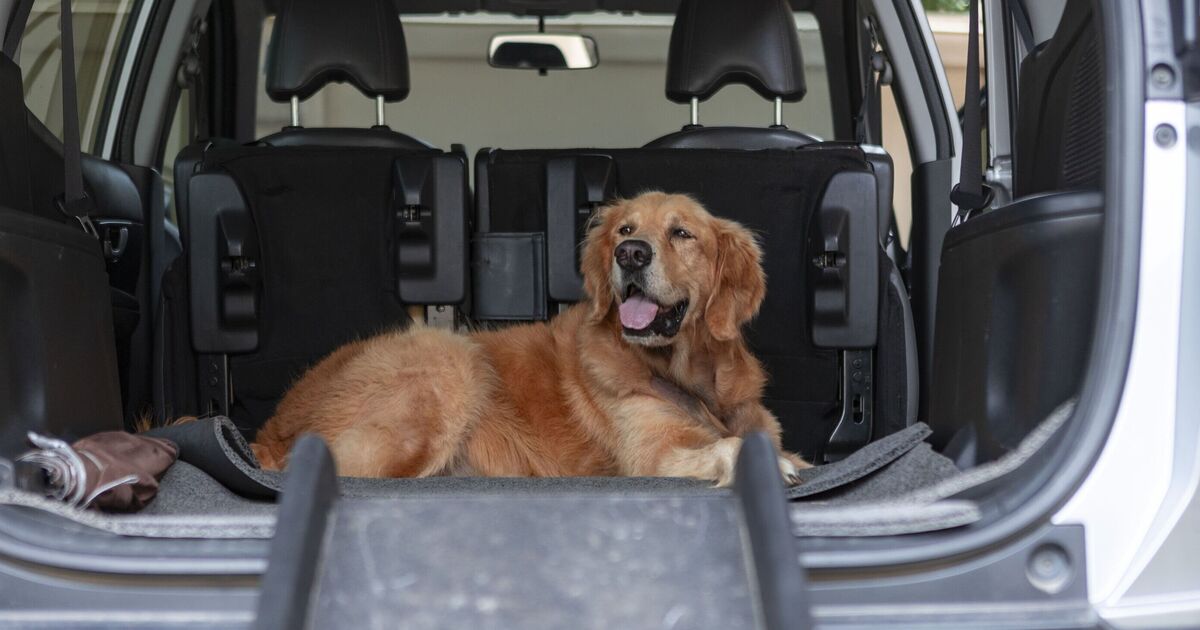 Les 5 meilleurs SUV familiaux pour les propriétaires de chiens en 2026 – et combien vous pouvez économiser sur les offres