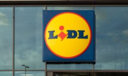 Les acheteurs de Lidl se précipitent pour un nouvel article à 5 € « bon pour les promeneurs de chiens »
