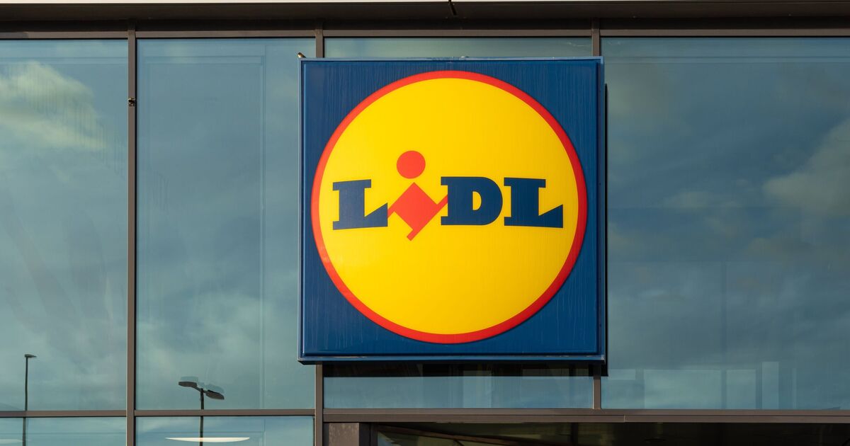 Les acheteurs de Lidl se précipitent pour un nouvel article à 5 £ « bon pour les promeneurs de chiens »