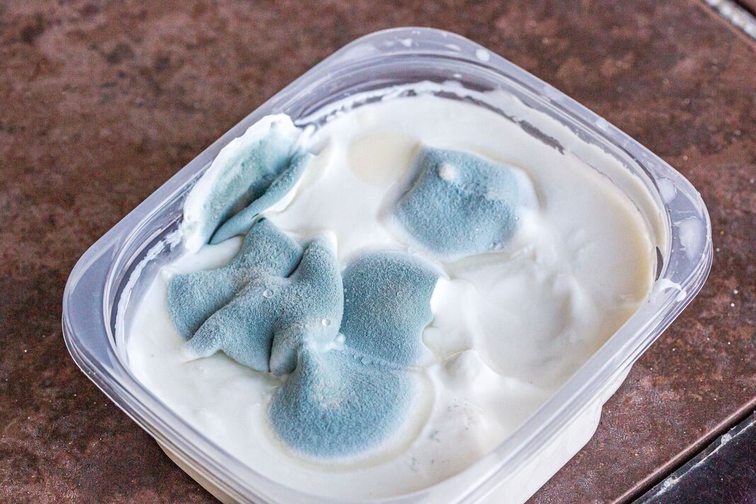 Moisissure verte floue sur les produits laitiers au yaourt dans le réfrigérateur après la date de péremption Moisissure verte floue sur les produits laitiers au yaourt dans le réfrigérateur après la date de péremption