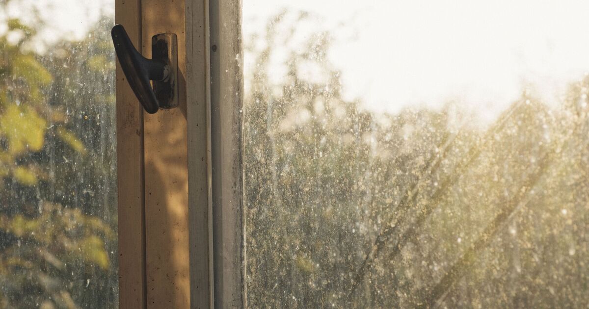 Les fenêtres seront « d'une propreté éclatante » et sans traces lorsqu'elles seront lavées avec un spray à 3 ingrédients