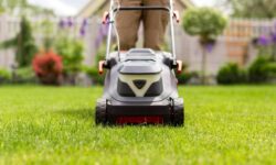 Les jardiniers sont invités à disperser un article de salle de bain courant sur l&rsquo;herbe pour l&rsquo;aider à devenir plus épaisse