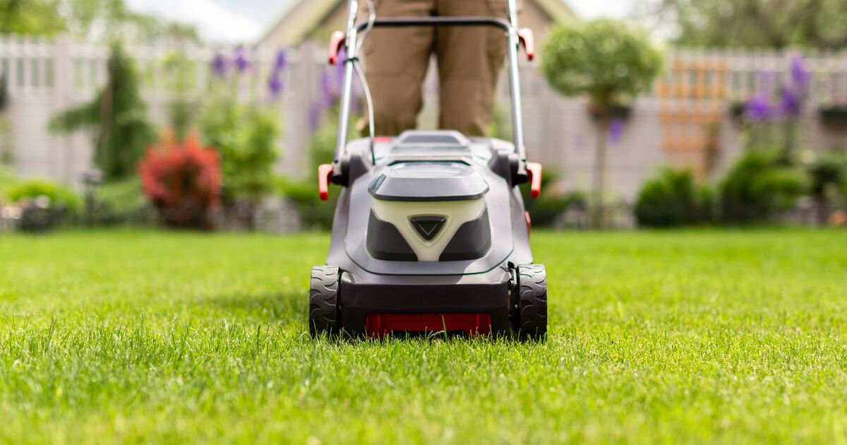 Les jardiniers sont invités à disperser un article de salle de bain courant sur l'herbe pour l'aider à devenir plus épaisse