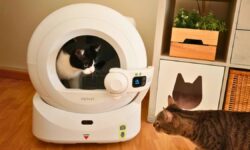 Je teste le Purobot Ultra avec IA de PETKIT : je vous donne 5 raisons pour lesquelles vous avez besoin de ce bac à litière autonettoyant chez vous si vous avez un chat