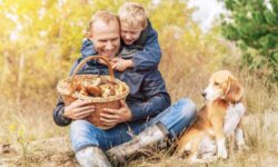 Quoi apporter pour récolter les champignons : des paniers en osier, des couteaux et 8 accessoires de base pour profiter de la forêt sans l&rsquo;abîmer
